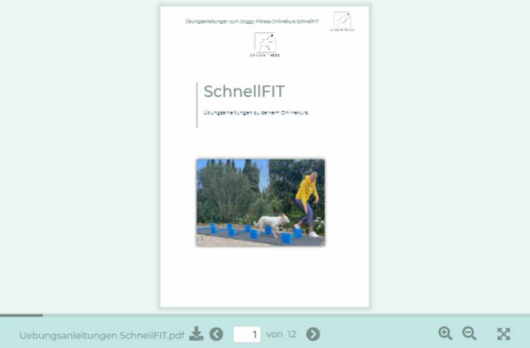 SchnellFIT,Schnellkurs,Online Kurs,Schnupperkurs,Einsteiger