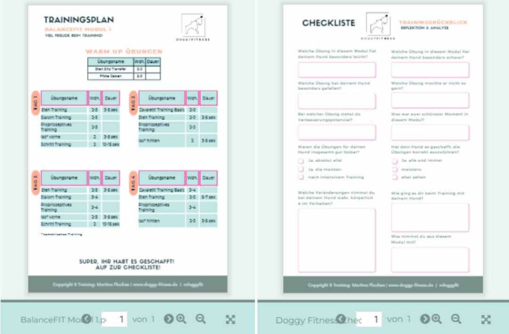 trainingsplan-checkliste-hundefitness-online-kurs-balance-fit