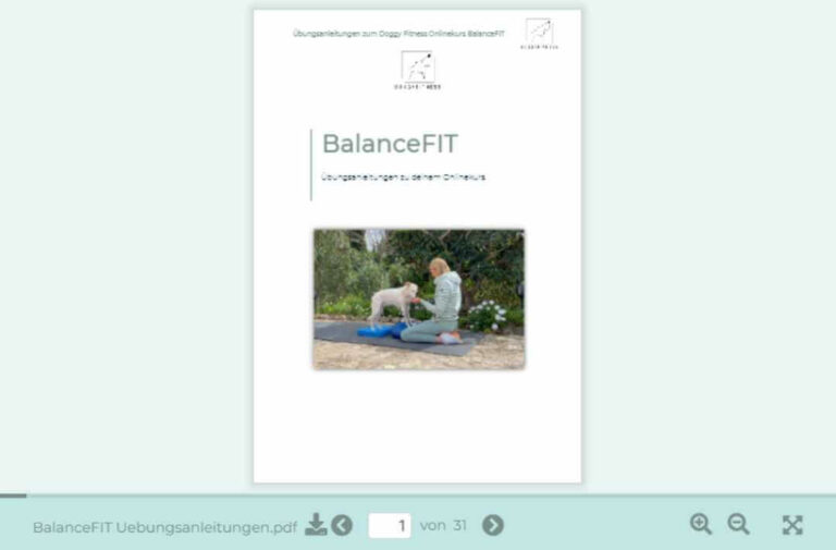 übungsanleitung-balance-fit-hundefitness-online-kurs