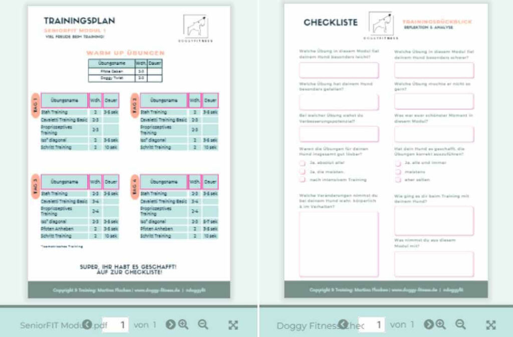trainingsplan-und-checkliste-senior-fit-hundefitmess