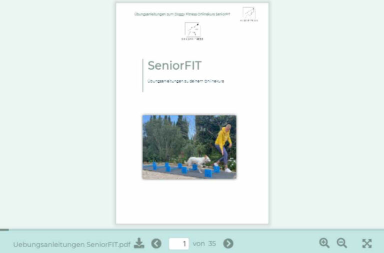 übungsanleitungen-seniorfit