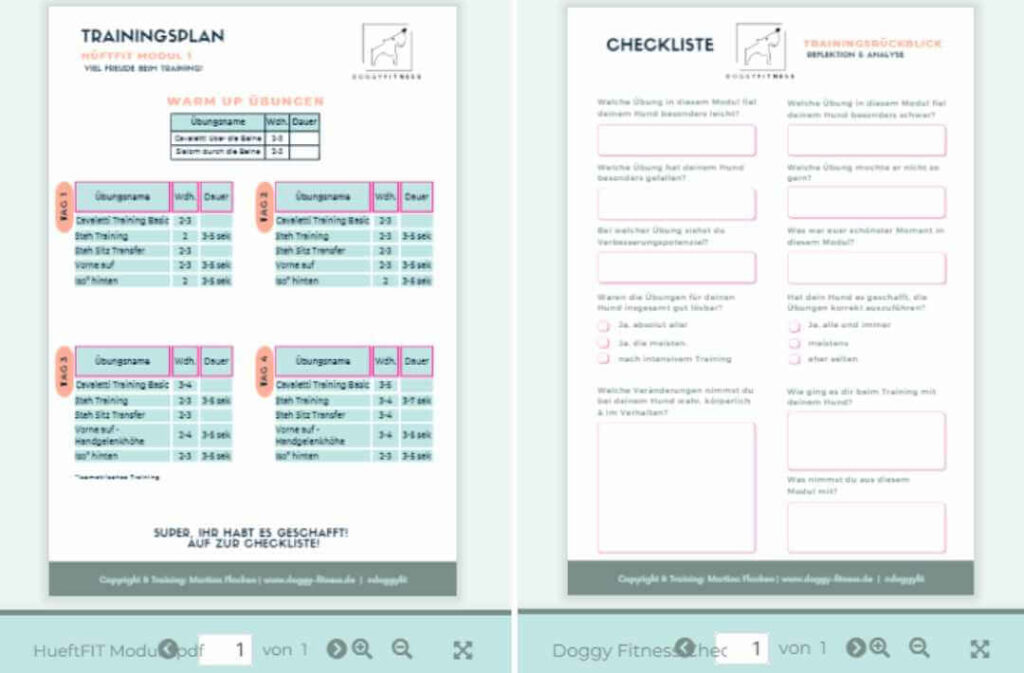 hüftfit-trainigsplan-und-checkliste
