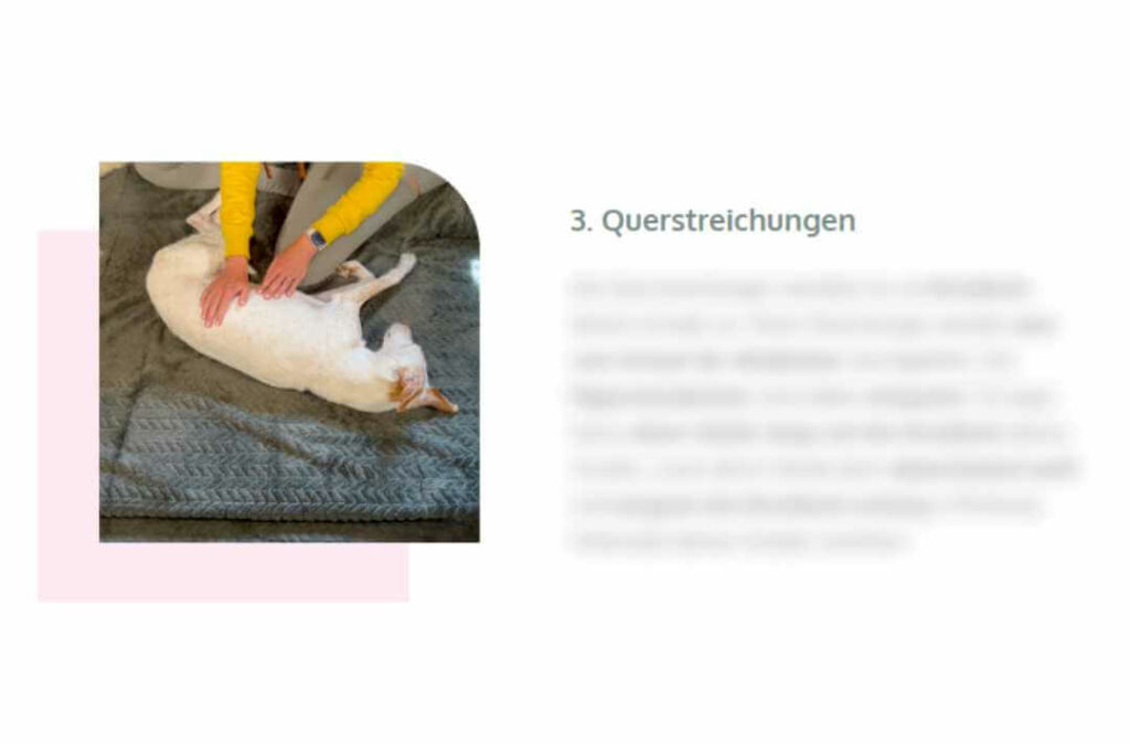 massagekurs-für-hunde-schriftliche-anleitung