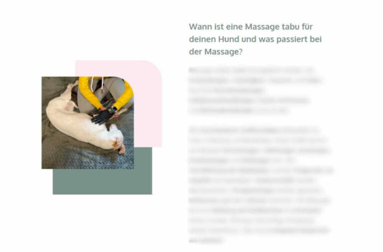 basiswissen-massagekurs-für-hunde