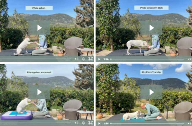 videoanleitungen-expertfit