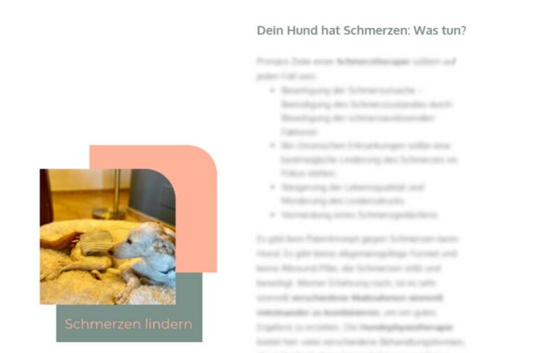 Gratis Online Kurs,Schmerzen beim Hund