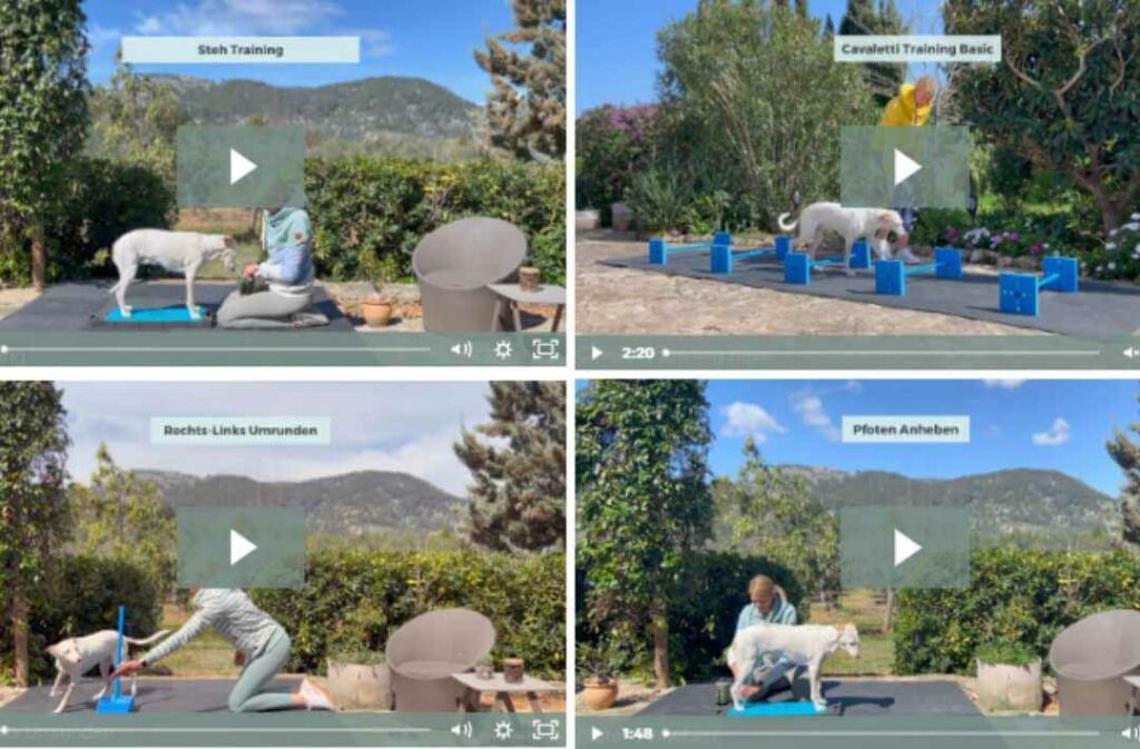 videoanleitungen-happyfit