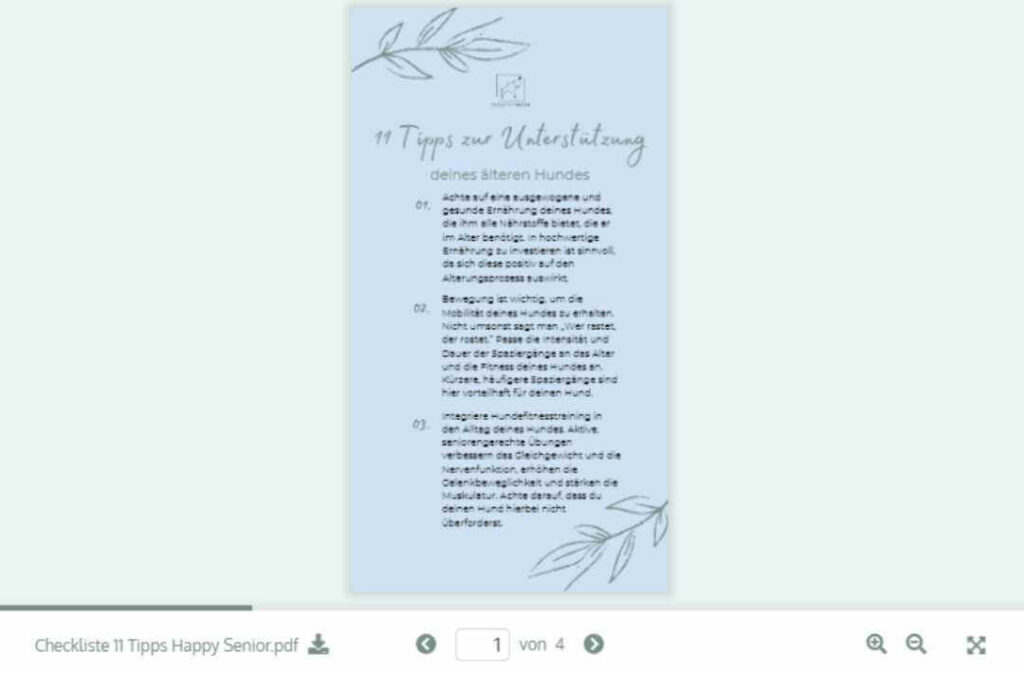 11-tipps-happy-senior