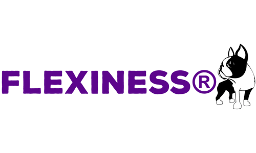 flexiness-logo