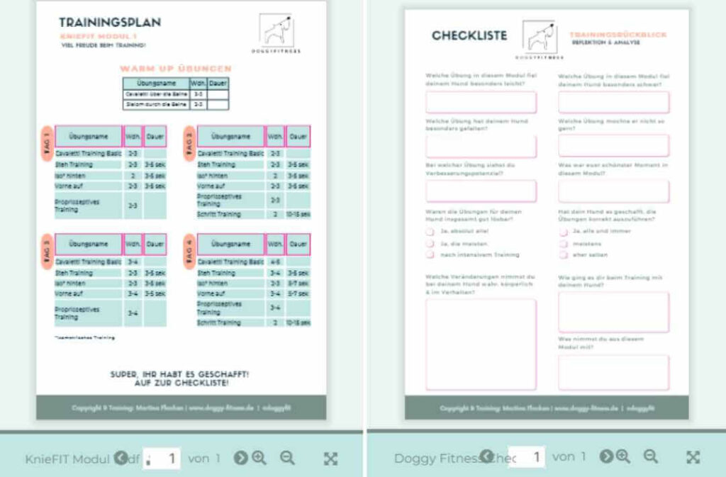 trainingsplan-und-checkliste-kniefit