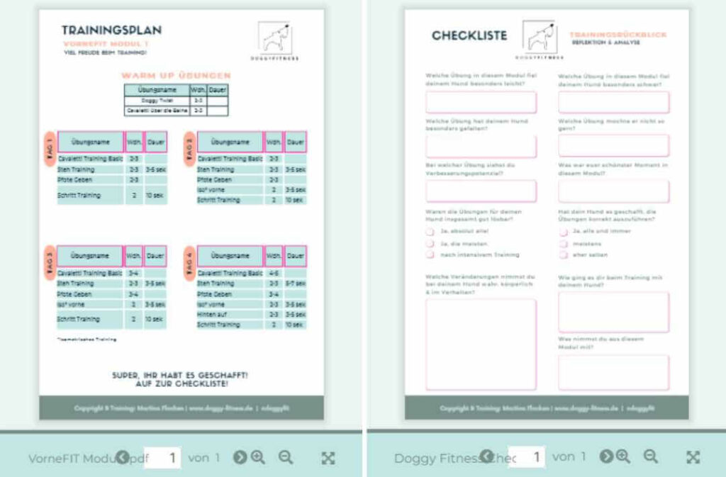 vornefit-trainingsplan- und-checkliste