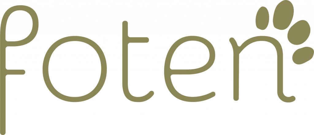 foten logo gold cmyk
