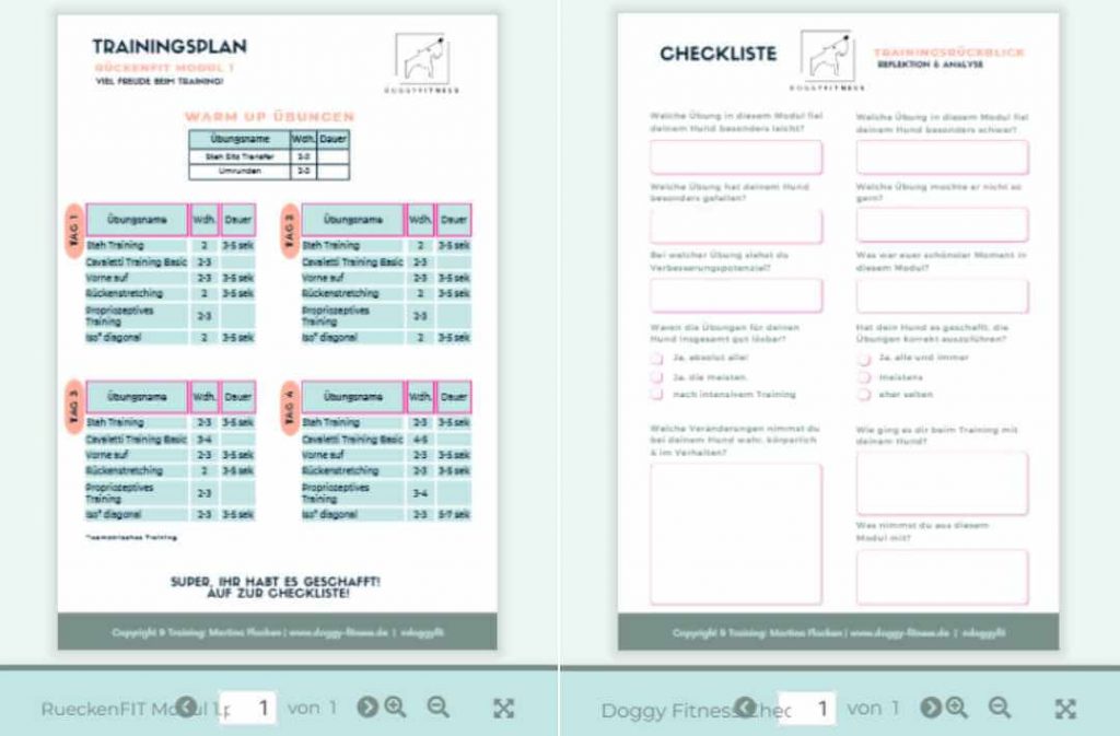 r&uuml;ckenfit &Uuml;bungsanleitungen