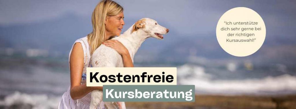 martina flocken (1080 x 400 px)