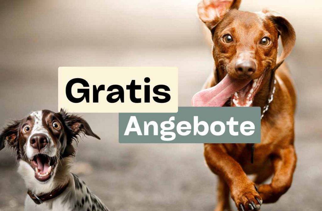 gratis angebote