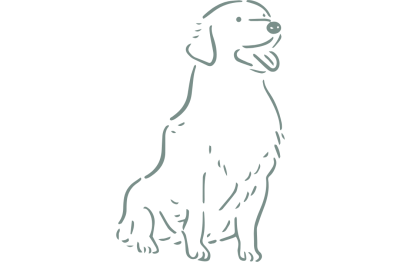 Design ohne Titel (7) (1)