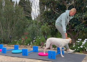 cavaletti-training-mit balance-pads