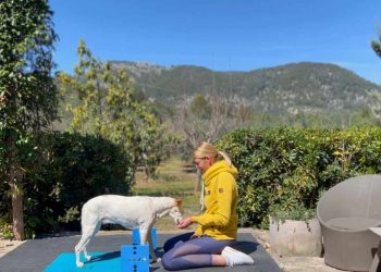 basic-fit-hundefitness-training