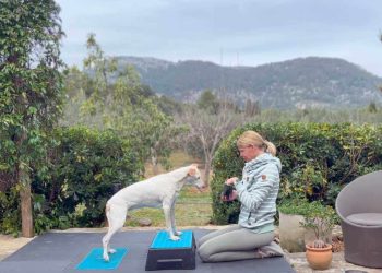 vorne-auf-junghund-fit