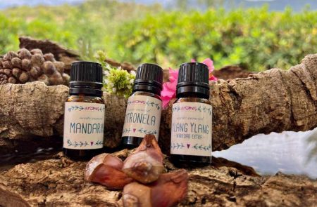 aromaöle-beim-hund-einsetzen